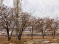 گزارش تصویری از یک روز برفی در شاهرود
